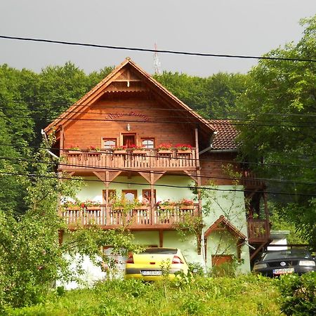 Hotel Vila Anna Sovata Exterior foto