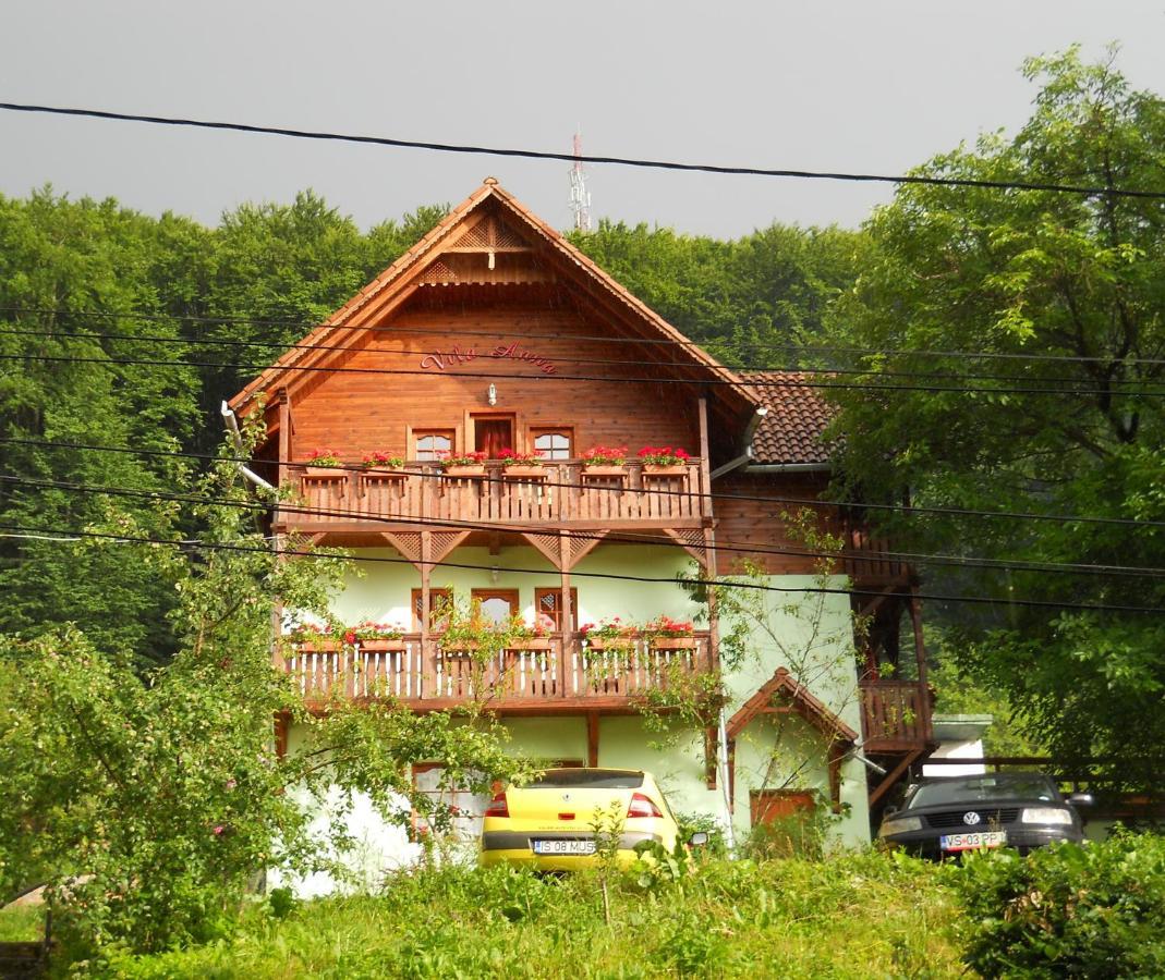 Hotel Vila Anna Sovata Exterior foto